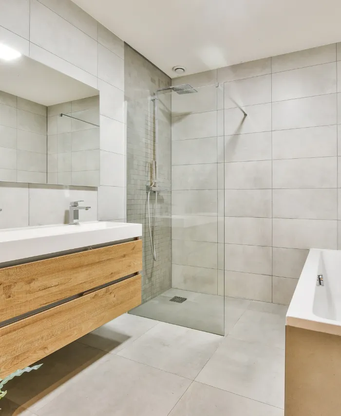 Walk-in Shower and Modern Vanity in Dallas